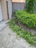 /album/fotogalerie/whatsapp-image-2025-06-26-at-17-36-45-jpeg/